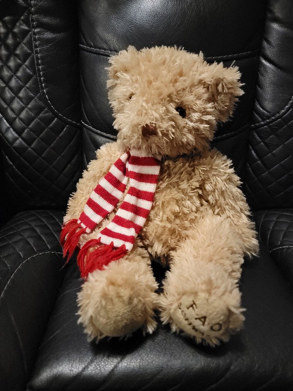 FAO Schwarz Teddy Bear 2018 Striped Red & White Scarf FAO Button 16" Fuzzy Brown